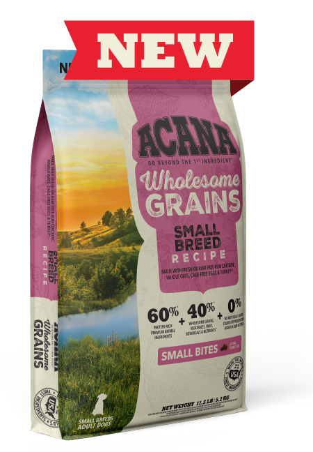 Small Breed Recipe